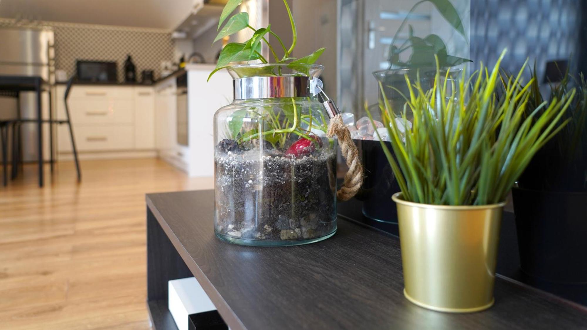 Alkantara Apartment Chrzanow